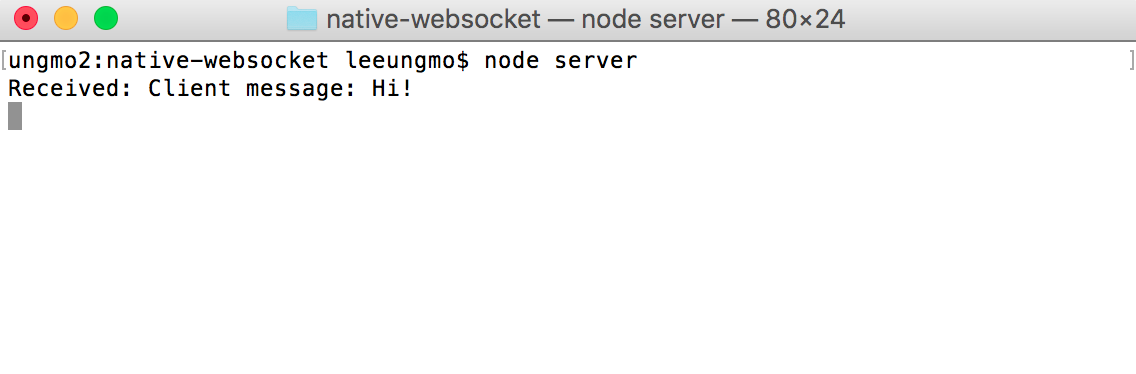 native-websocket-server